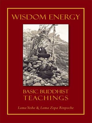cover image of Wisdom Energy